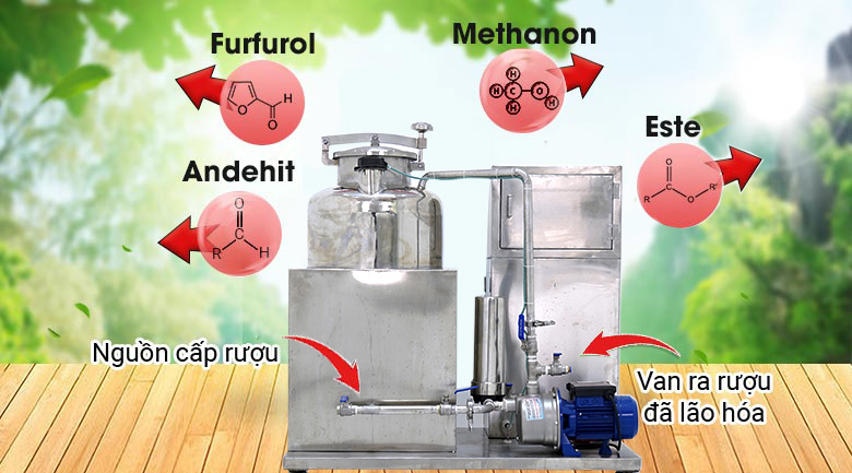 Loại bỏ độc tố