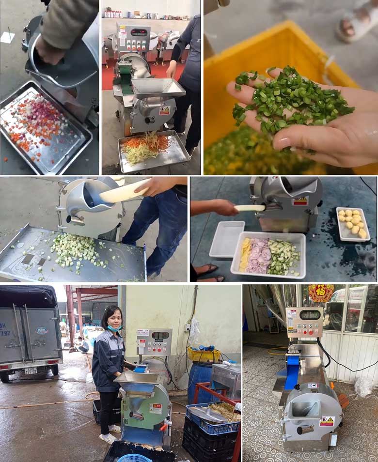 Những hình ảnh thực tế khách hàng sử dụng máy thái rau củ quả HE1000 NEWSUN Những hình ảnh thực tế khách hàng sử dụng máy thái rau củ quả HE1000 NEWSUN