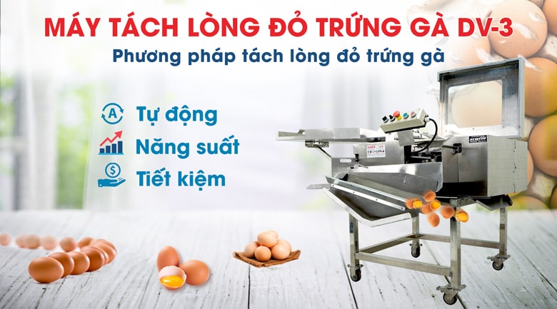 Máy tách lòng đỏ trứng gà DV-3 (9000 trứng/h) Máy tách lòng đỏ trứng gà DV-3 (9000 trứng/h)
