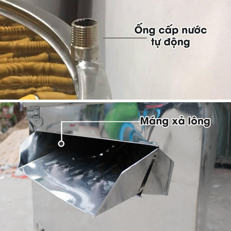 Ống cấp nước và máng xả lông tiện lợi