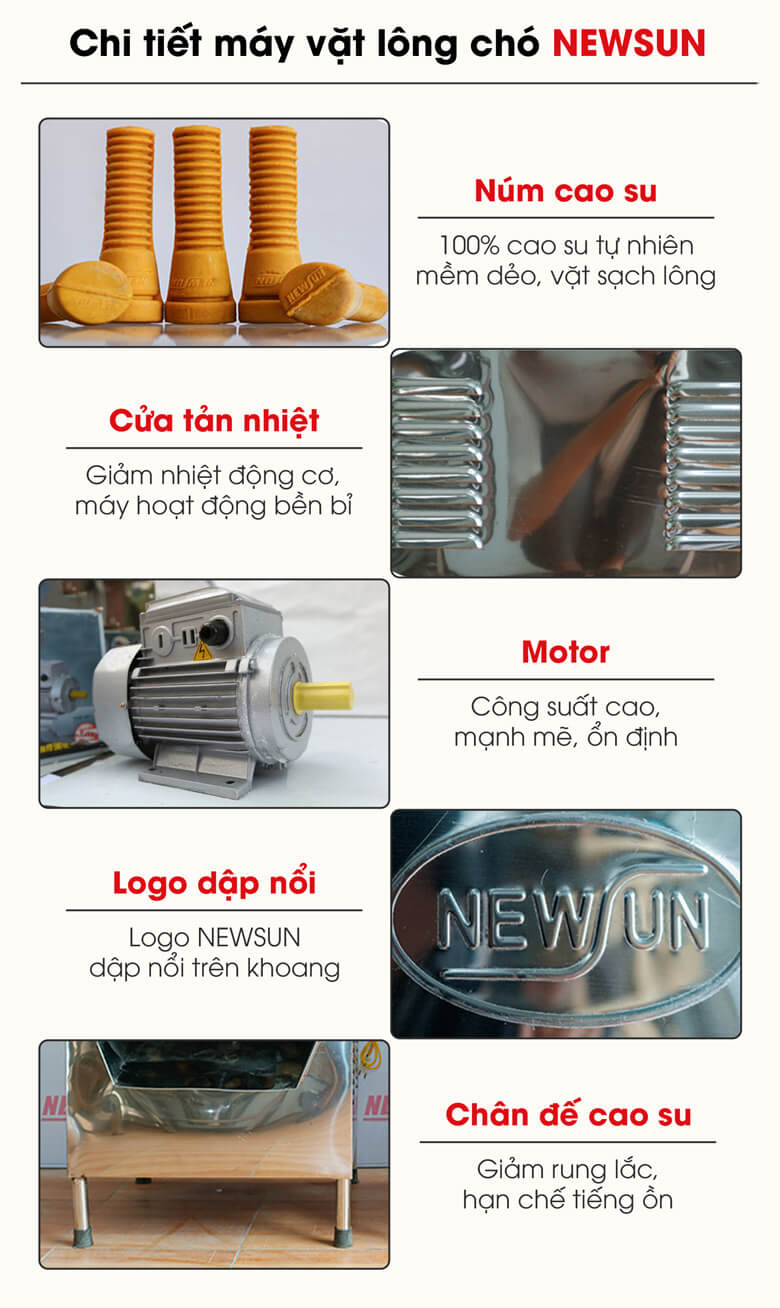 Chi tiết máy vặt lông chó Chi tiết máy vặt lông chó